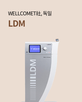 LDM