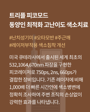 인라이튼 루비피코