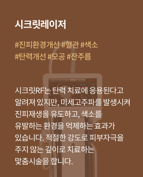 시크릿레이저