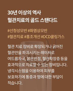 브이빔퍼펙타